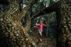 BIB: 
                            <button type="button" onclick="openModal(25669821)" class="btn btn-primary btn-sm float-right btn-popup" data-toggle="modal" data-target=".modal-high-quality">
                        <i class="fas fa-shopping-cart"></i> Add to Cart
                    </button>
                                            <button type="button" onclick="isThisMe(25669821, true)" class="btn btn-success btn-sm float-right btn-popup btn-isme hidden" data-toggle="tooltip" data-placement="bottom" title="นี่คือรูปของคุณใช่ไหม คลิกที่นี่เพื่อเอาเข้าอัลบั้ม">
                        <i class="fas fa-plus"></i> Add to album
                    </button>
                    <button type="button" onclick="isThisMe(25669821, false)" class="btn btn-warning btn-sm float-right btn-popup btn-isnotme hidden">
                        <i class="fas fa-ban"></i> Remove from album
                    </button>